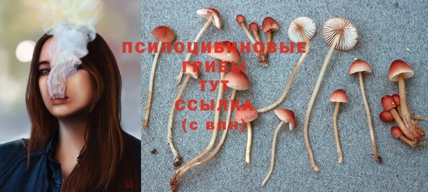 кокаин Пересвет